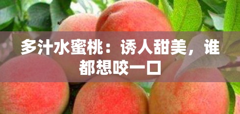 多汁水蜜桃：诱人甜美，谁都想咬一口
