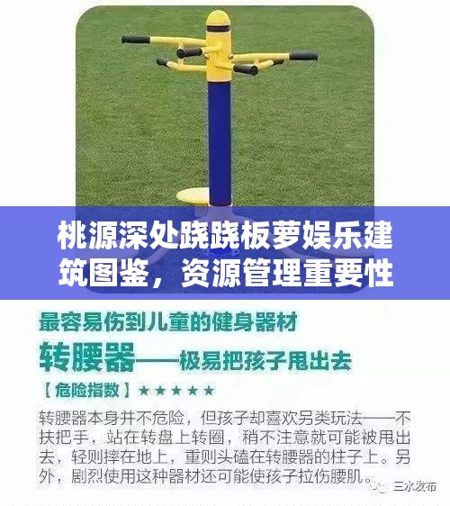 桃源深处跷跷板萝娱乐建筑图鉴，资源管理重要性及高效策略解析