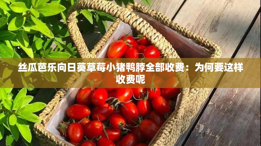 丝瓜芭乐向日葵草莓小猪鸭脖全部收费：为何要这样收费呢