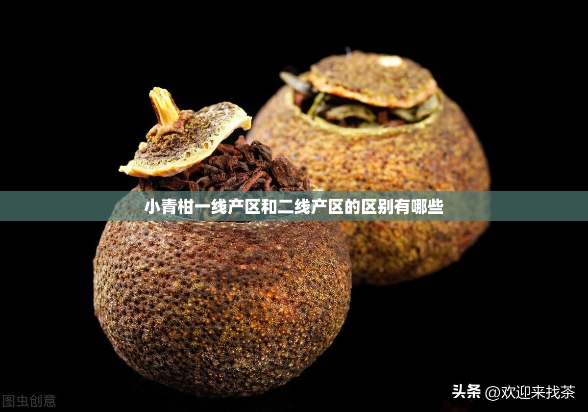 小青柑一线产区和二线产区的区别有哪些