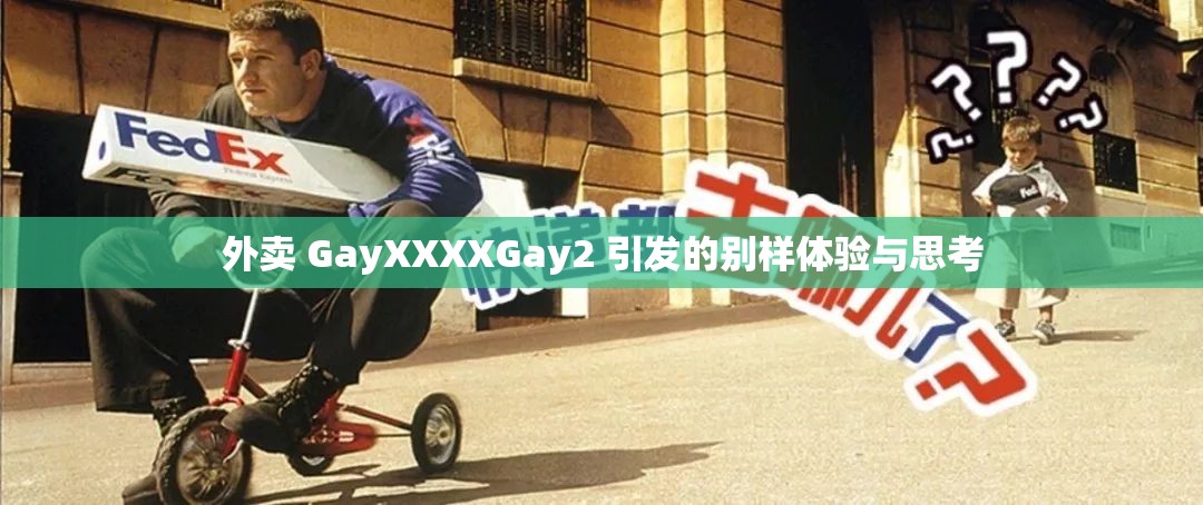 外卖 GayXXXXGay2 引发的别样体验与思考