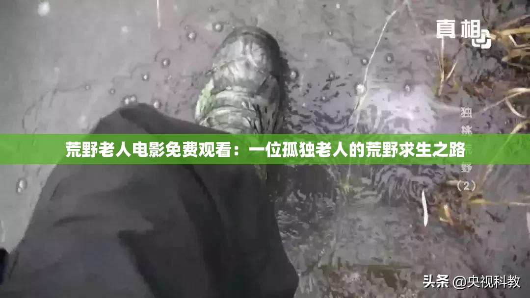 荒野老人电影免费观看：一位孤独老人的荒野求生之路