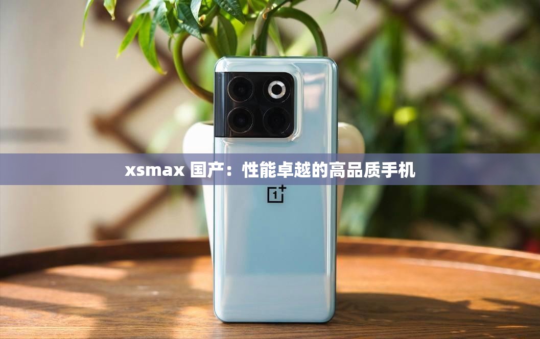 xsmax 国产：性能卓越的高品质手机