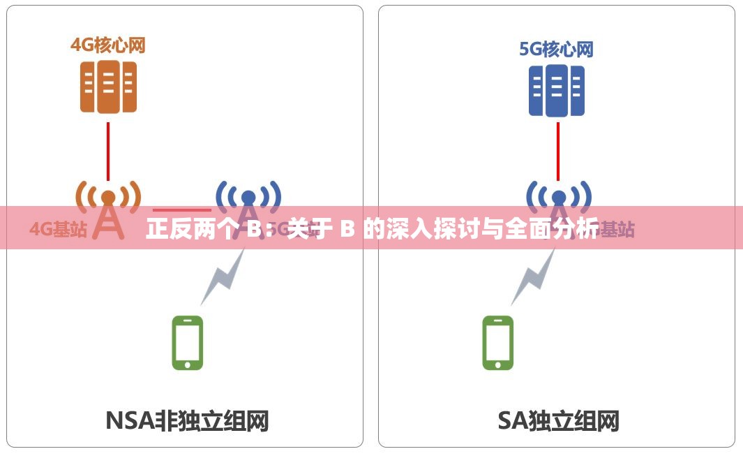 正反两个 B：关于 B 的深入探讨与全面分析