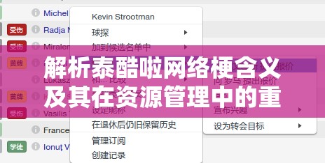 解析泰酷啦网络梗含义及其在资源管理中的重要性、技巧、浪费原因与价值最大化策略
