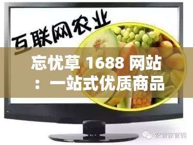 忘忧草 1688 网站 ：一站式优质商品购物天堂