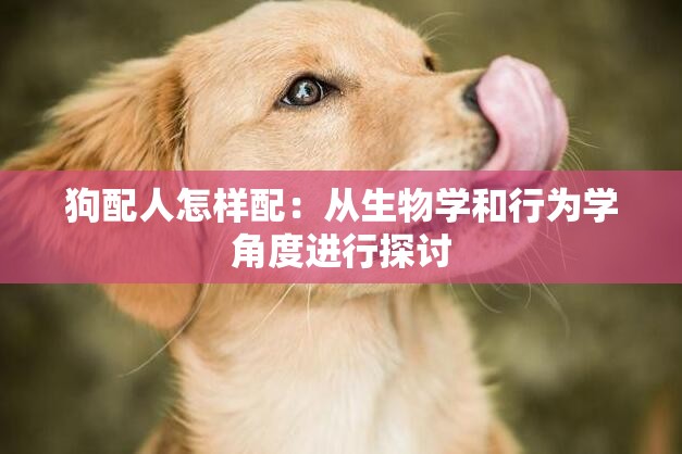 狗配人怎样配：从生物学和行为学角度进行探讨