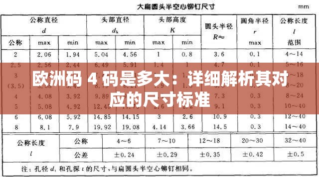 欧洲码 4 码是多大：详细解析其对应的尺寸标准