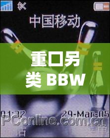 重囗另类 BBWSeⅹHD：挑战视觉与心理的极限