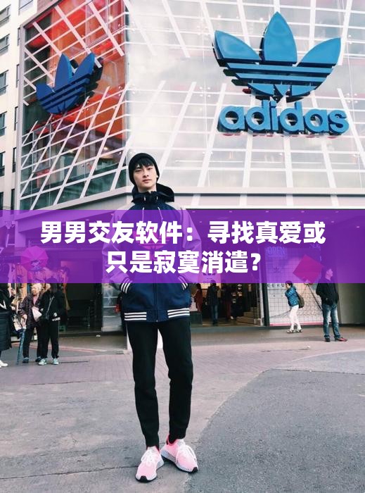 男男交友软件：寻找真爱或只是寂寞消遣？