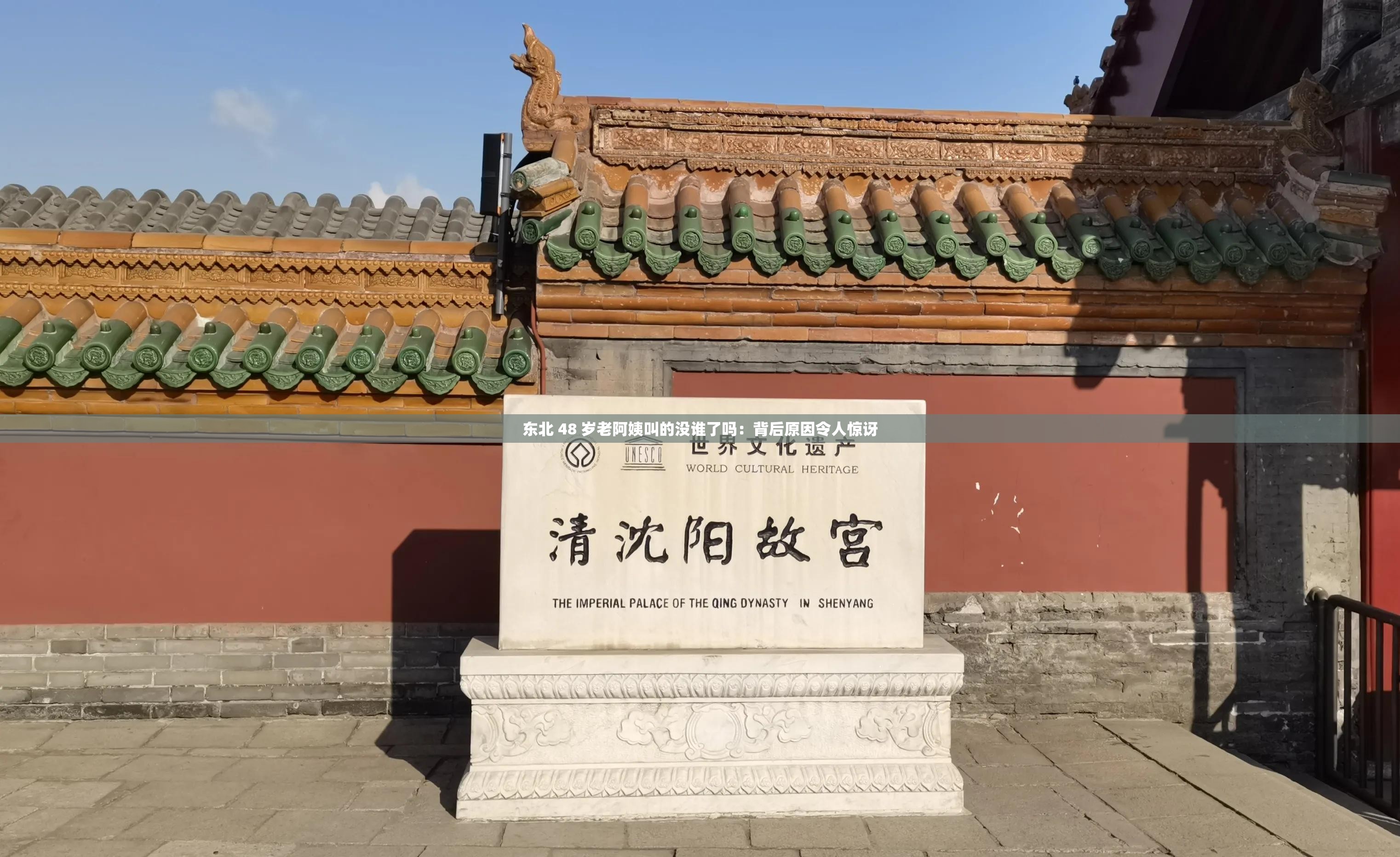东北 48 岁老阿姨叫的没谁了吗：背后原因令人惊讶
