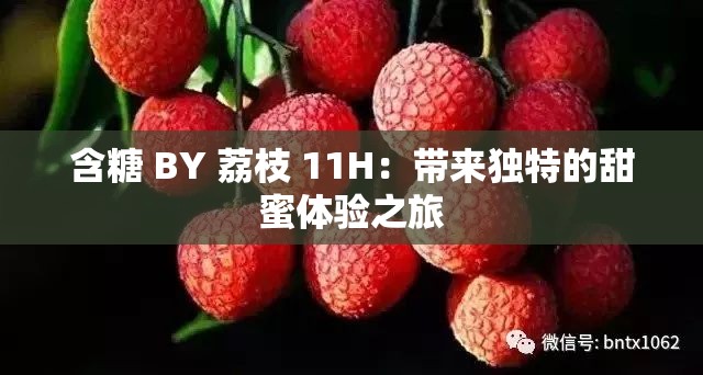 含糖 BY 荔枝 11H：带来独特的甜蜜体验之旅