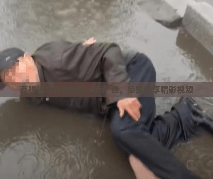 荔枝视频在线观看：无广告，免费畅享精彩视频