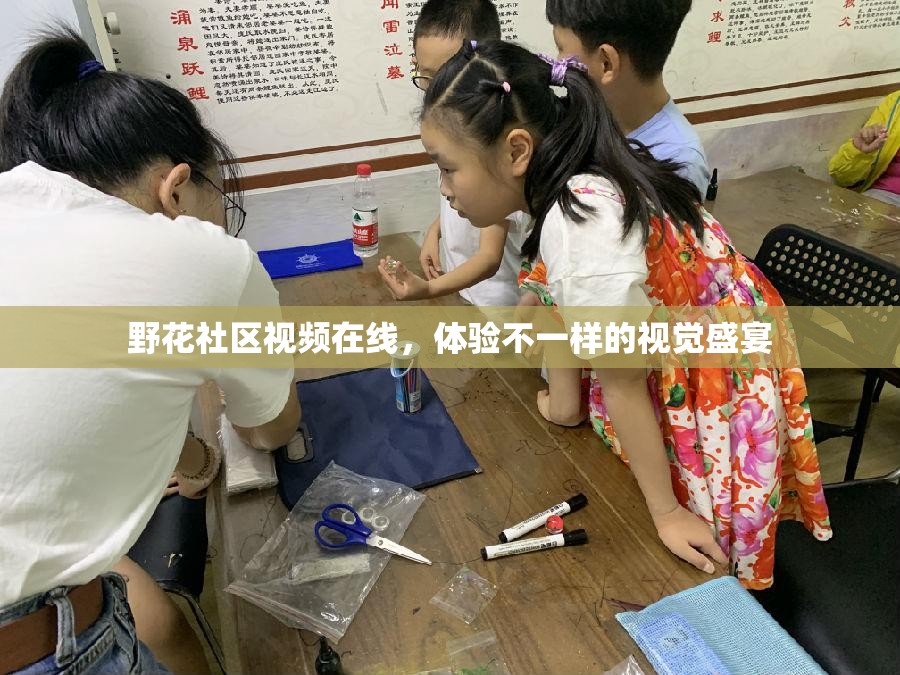 野花社区视频在线，体验不一样的视觉盛宴