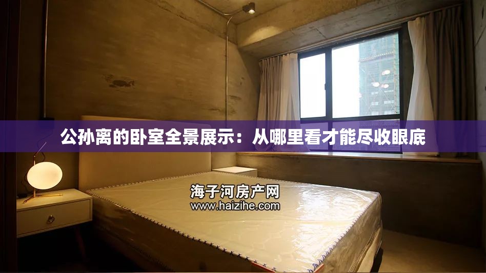 公孙离的卧室全景展示：从哪里看才能尽收眼底