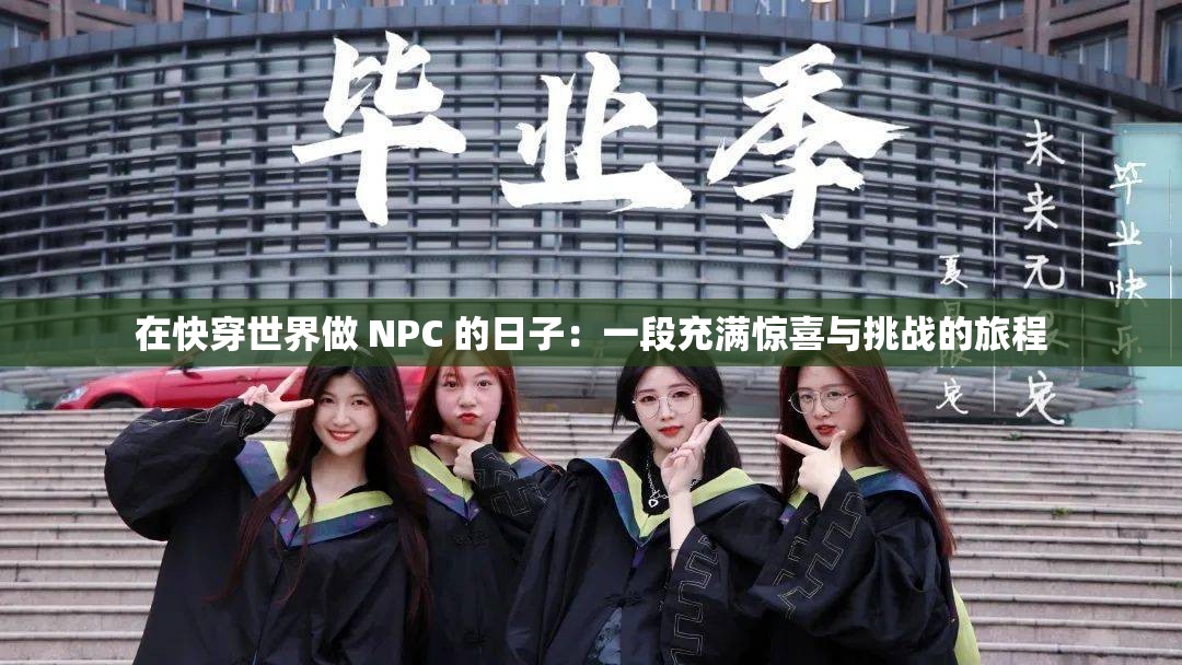 在快穿世界做 NPC 的日子：一段充满惊喜与挑战的旅程