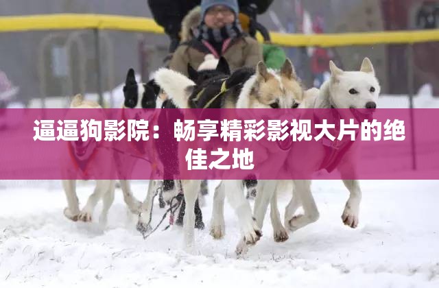 逼逼狗影院：畅享精彩影视大片的绝佳之地
