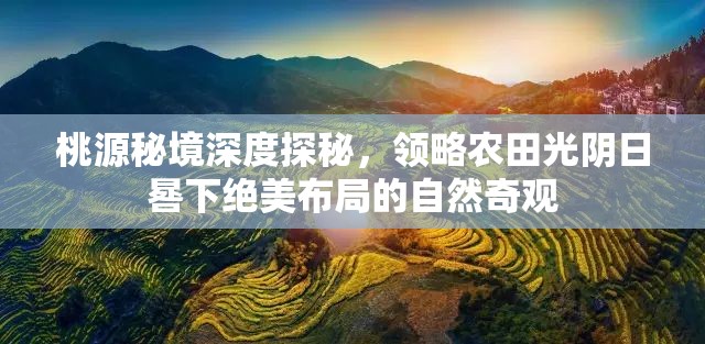 桃源秘境深度探秘，领略农田光阴日晷下绝美布局的自然奇观