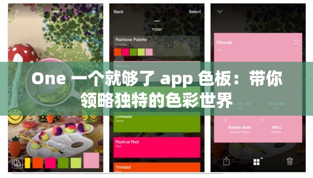 One 一个就够了 app 色板：带你领略独特的色彩世界
