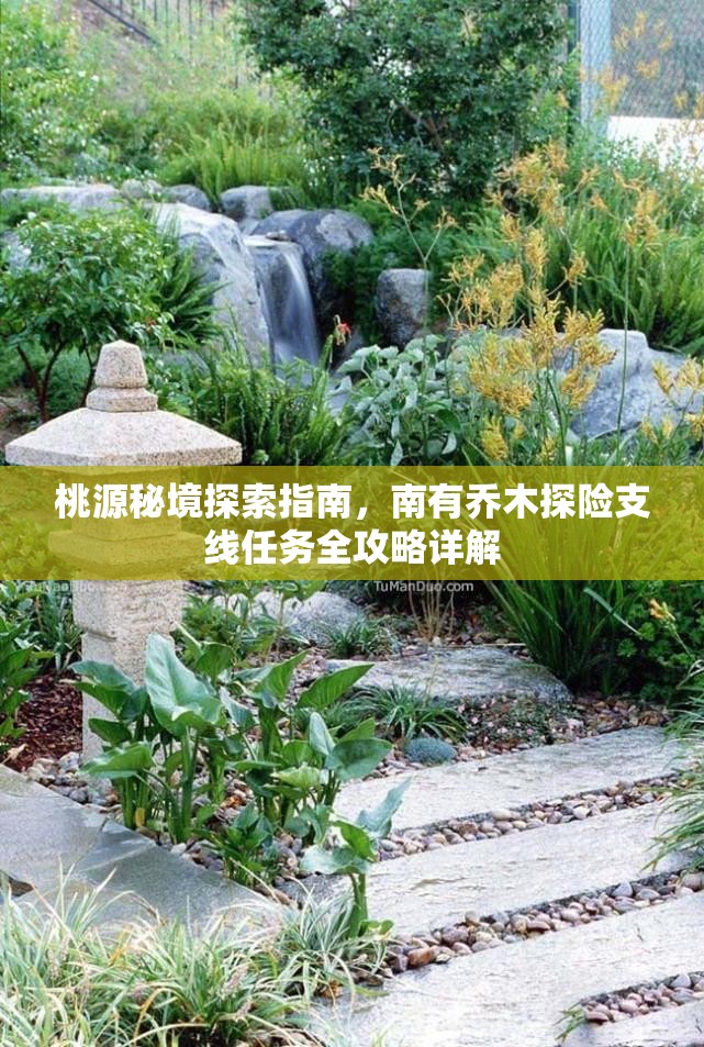 桃源秘境探索指南，南有乔木探险支线任务全攻略详解