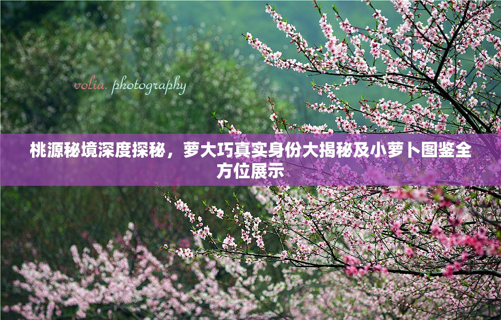 桃源秘境深度探秘，萝大巧真实身份大揭秘及小萝卜图鉴全方位展示