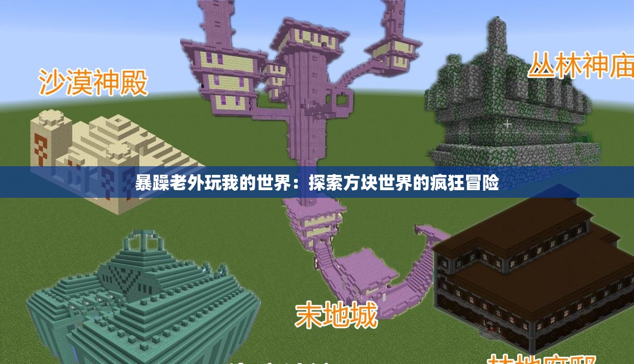 暴躁老外玩我的世界：探索方块世界的疯狂冒险