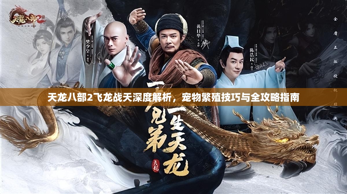 天龙八部2飞龙战天深度解析，宠物繁殖技巧与全攻略指南