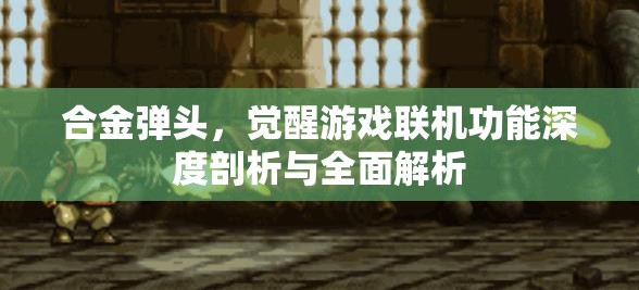 合金弹头，觉醒游戏联机功能深度剖析与全面解析