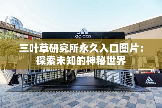 三叶草研究所永久入口图片：探索未知的神秘世界