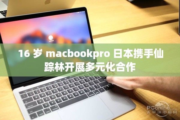 16 岁 macbookpro 日本携手仙踪林开展多元化合作