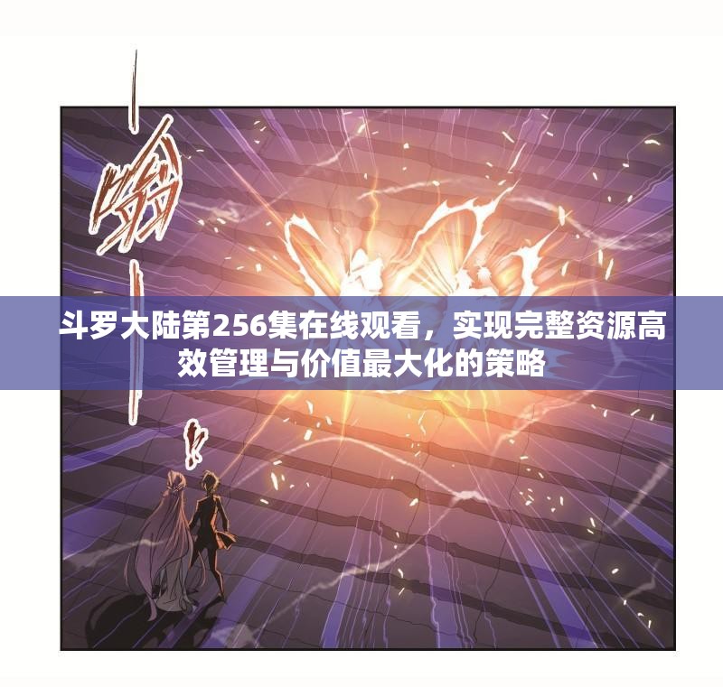 斗罗大陆第256集在线观看，实现完整资源高效管理与价值最大化的策略