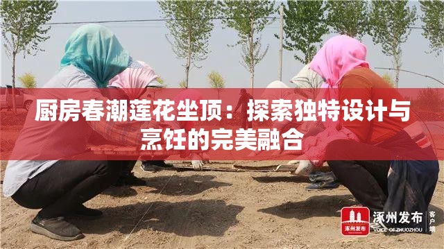 厨房春潮莲花坐顶：探索独特设计与烹饪的完美融合