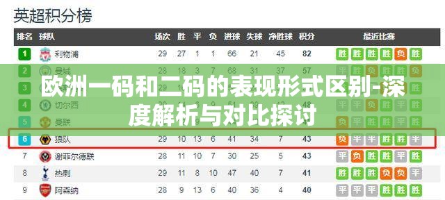 欧洲一码和二码的表现形式区别-深度解析与对比探讨