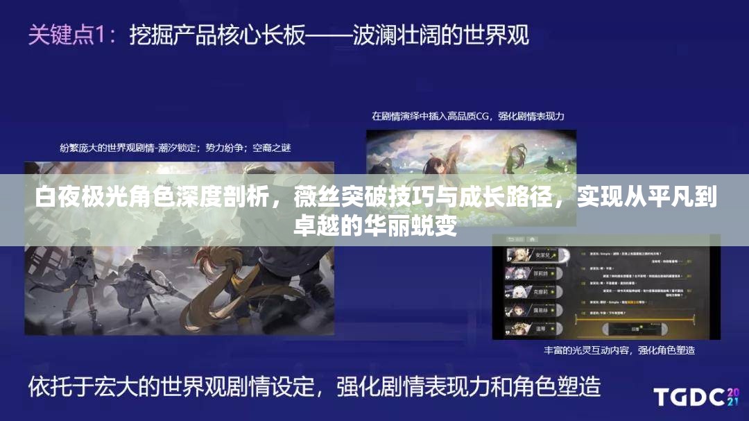白夜极光角色深度剖析，薇丝突破技巧与成长路径，实现从平凡到卓越的华丽蜕变