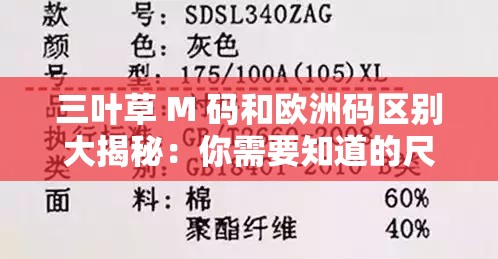 三叶草 M 码和欧洲码区别大揭秘：你需要知道的尺码秘密