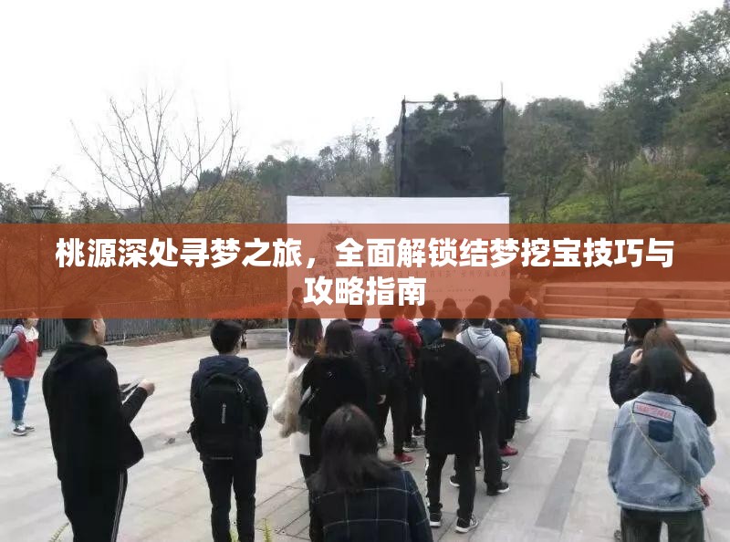 桃源深处寻梦之旅，全面解锁结梦挖宝技巧与攻略指南