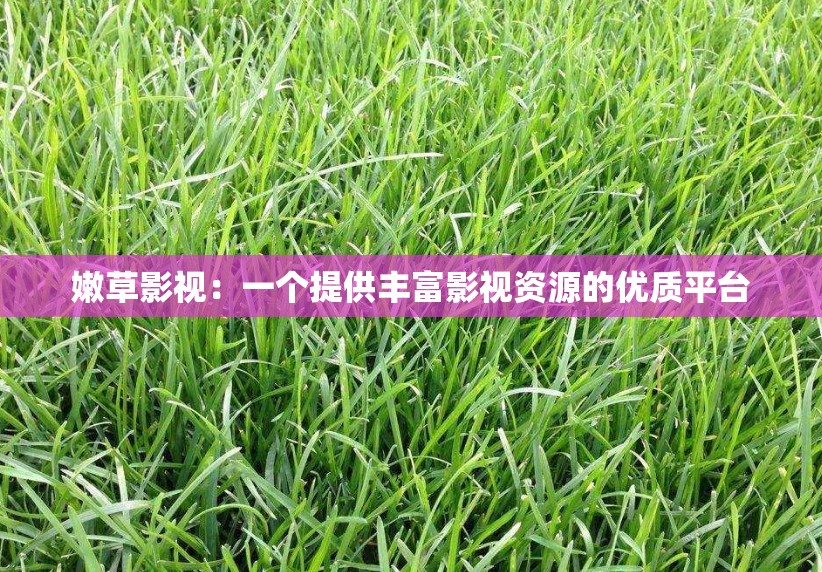 嫩草影视：一个提供丰富影视资源的优质平台