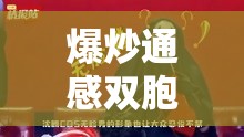 爆炒通感双胞胎在哪里看：独特视角探寻精彩之处