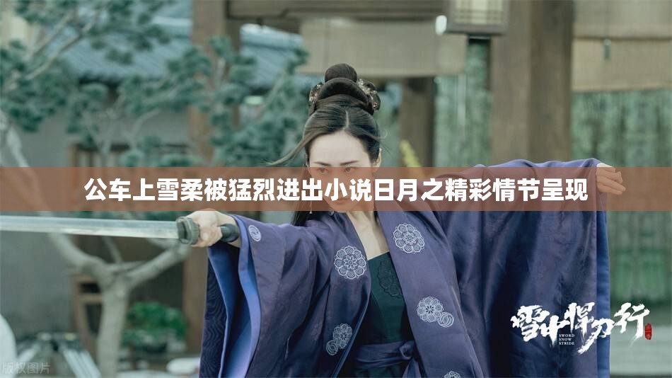 公车上雪柔被猛烈进出小说日月之精彩情节呈现