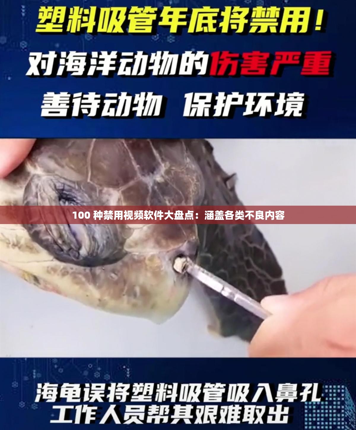 100 种禁用视频软件大盘点：涵盖各类不良内容