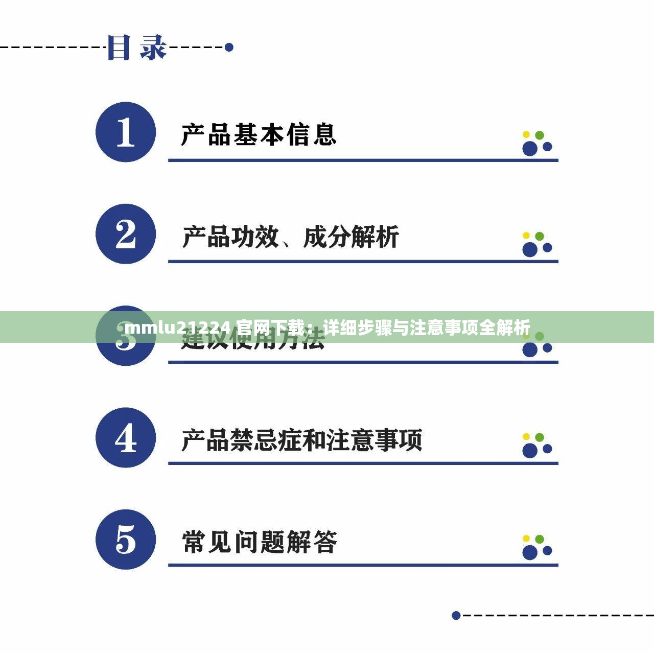 mmlu21224 官网下载：详细步骤与注意事项全解析
