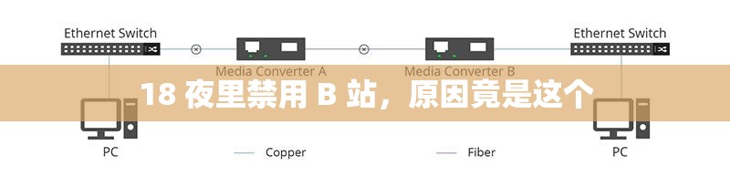 18 夜里禁用 B 站，原因竟是这个