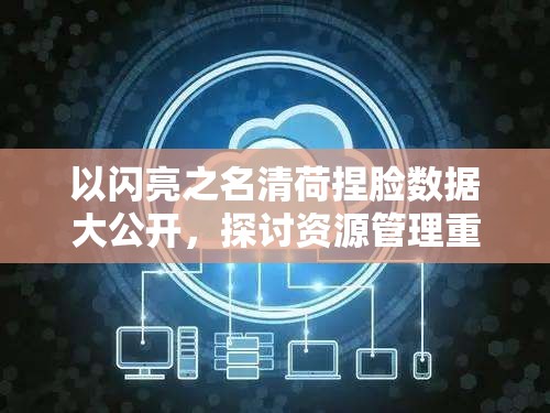 以闪亮之名清荷捏脸数据大公开，探讨资源管理重要性及高效利用实战策略