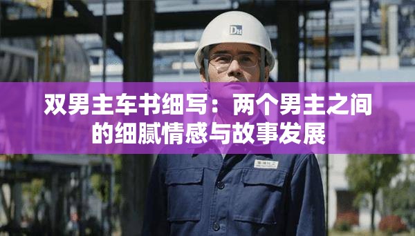 双男主车书细写：两个男主之间的细腻情感与故事发展