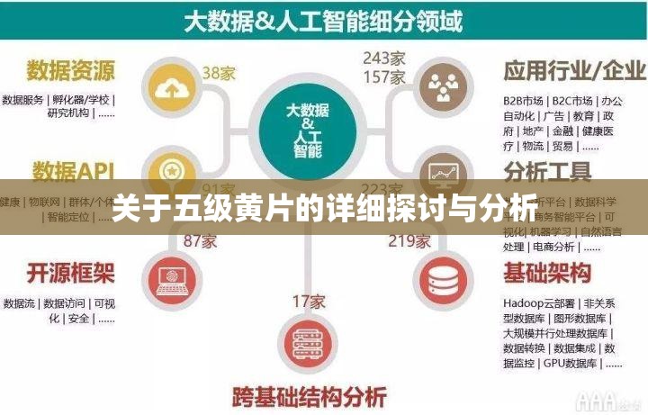 关于五级黄片的详细探讨与分析