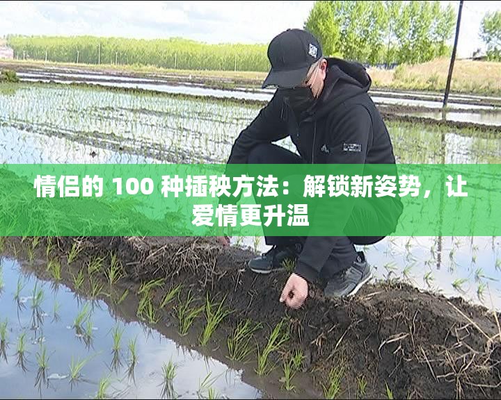 情侣的 100 种插秧方法：解锁新姿势，让爱情更升温