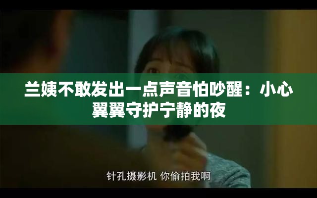 兰姨不敢发出一点声音怕吵醒：小心翼翼守护宁静的夜