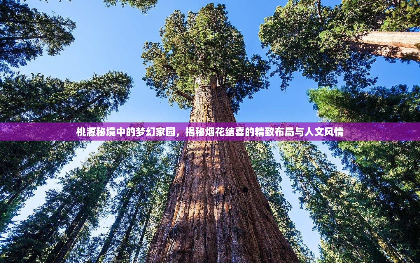 桃源秘境中的梦幻家园，揭秘烟花结喜的精致布局与人文风情