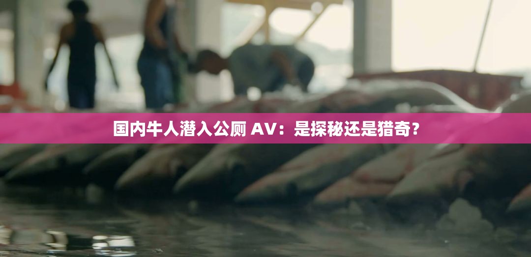 国内牛人潜入公厕 AV：是探秘还是猎奇？