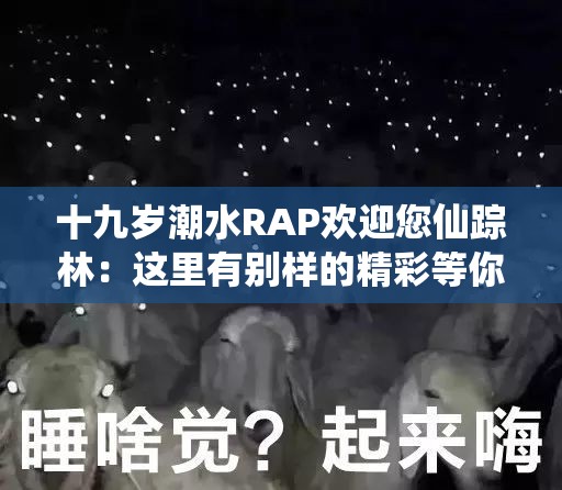 十九岁潮水RAP欢迎您仙踪林：这里有别样的精彩等你来探索